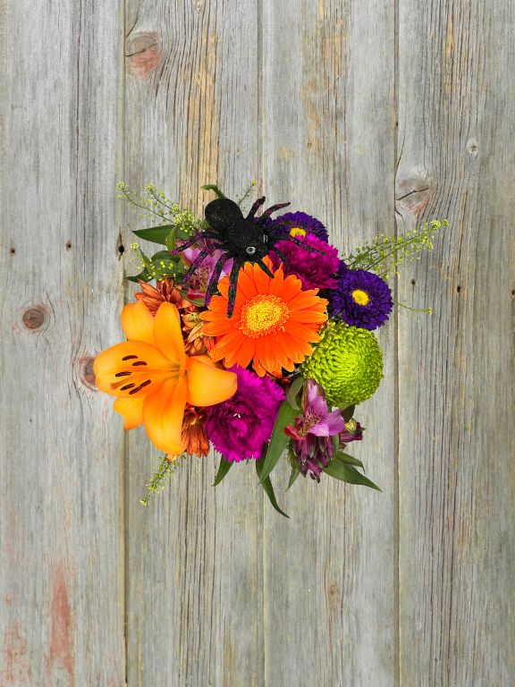 JACK O BLOOM - 13 STEM